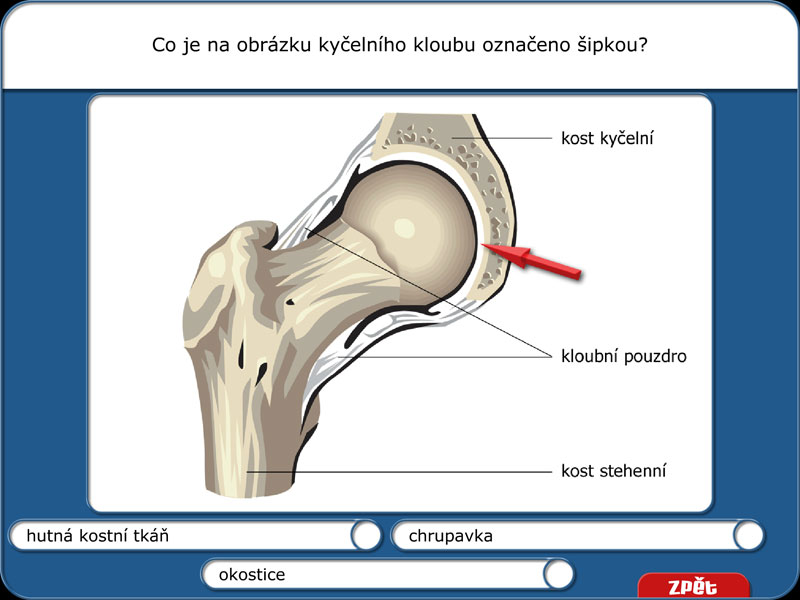 Přírodopis 2 | 1