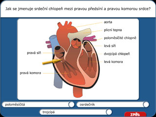 Přírodopis 2 | 2