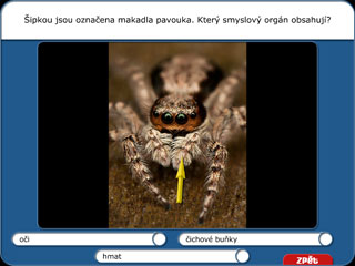 Přírodopis 1 | 2