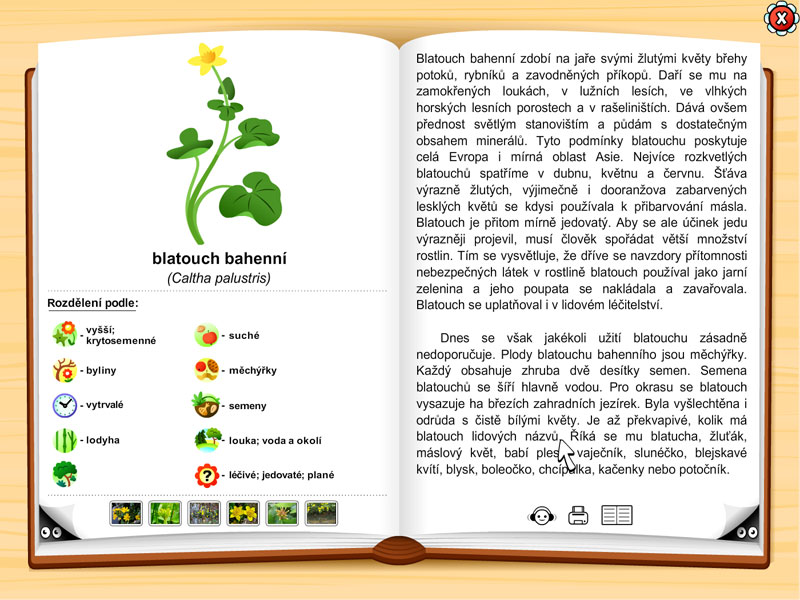 Všeználkova botanická zahrada | 1
